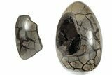 10.7" Septarian "Dragon Egg" Geode - Removable Section - #203811-2